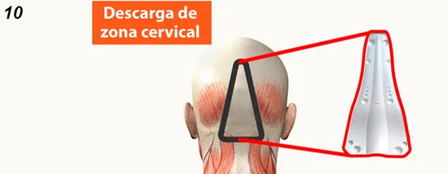 Localiza los puntos C y D de SACRUS, el lado X del aparato debe apuntar para la parte superior de tu cabeza. Los puntos C y D deben estar en la primera cervical justo debajo del cráneo