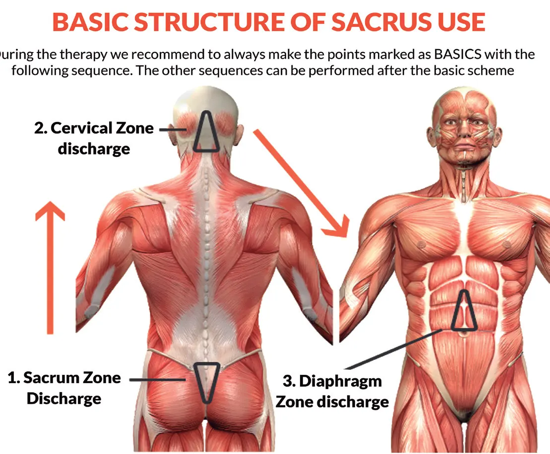 Basic scheme SACRUS