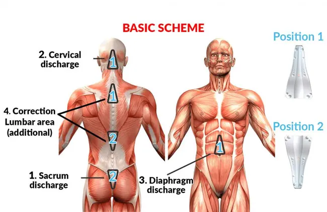 Sacrus basic scheme